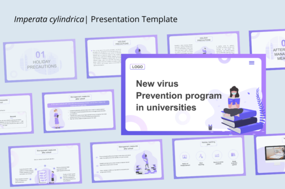 Araucaria: A Clean, Versatile Template for Presentations