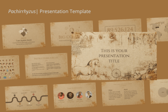 Pachirrhyzus: A Premium Font for Modern Designers
